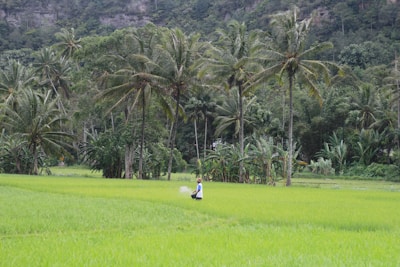 Portrait of the company director standing confidently in a lush rice field under soft natural light.