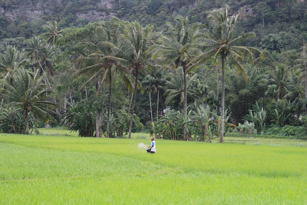 person walking on green rice field surrounded with tall and green trees