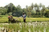 a man is plowing a field with a tractor