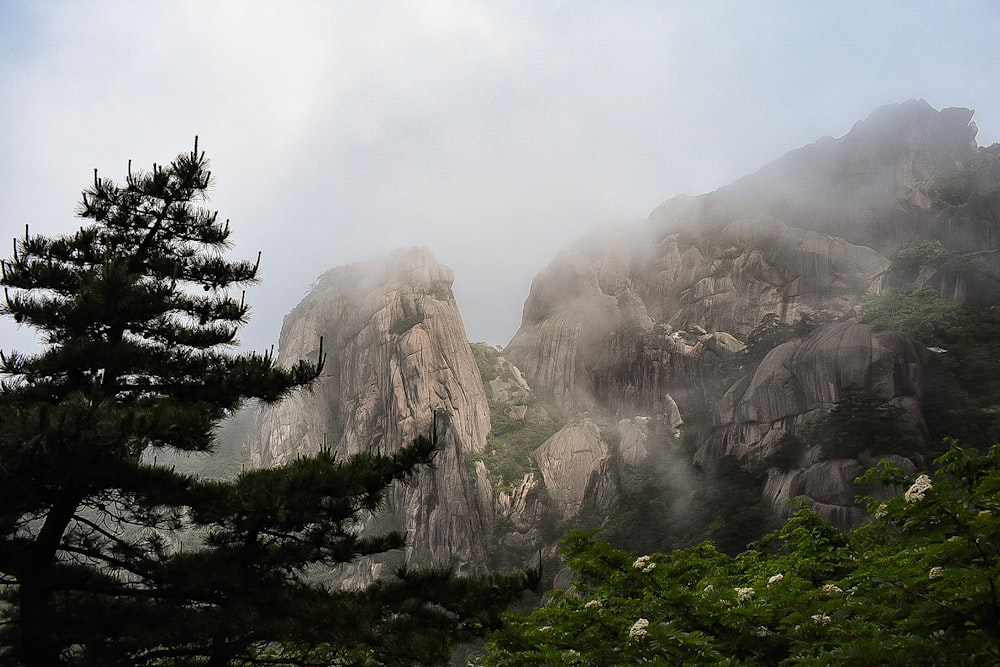 a view of a rocky mountain with trees on the side