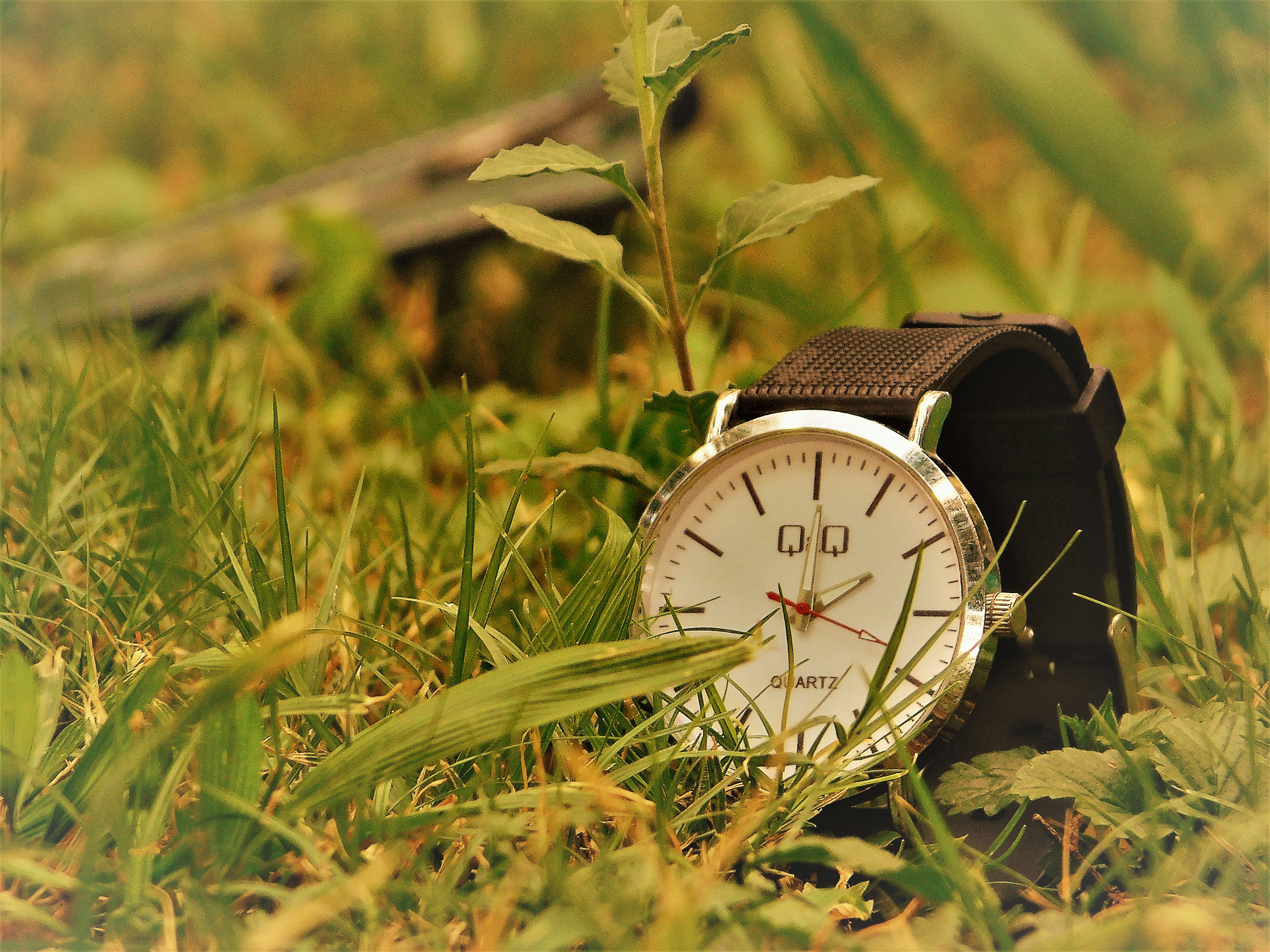 Casio a-168wa-1. Наручные часы accord denton. Часы на руке. Часы встали. Переход на летнее время в россии.