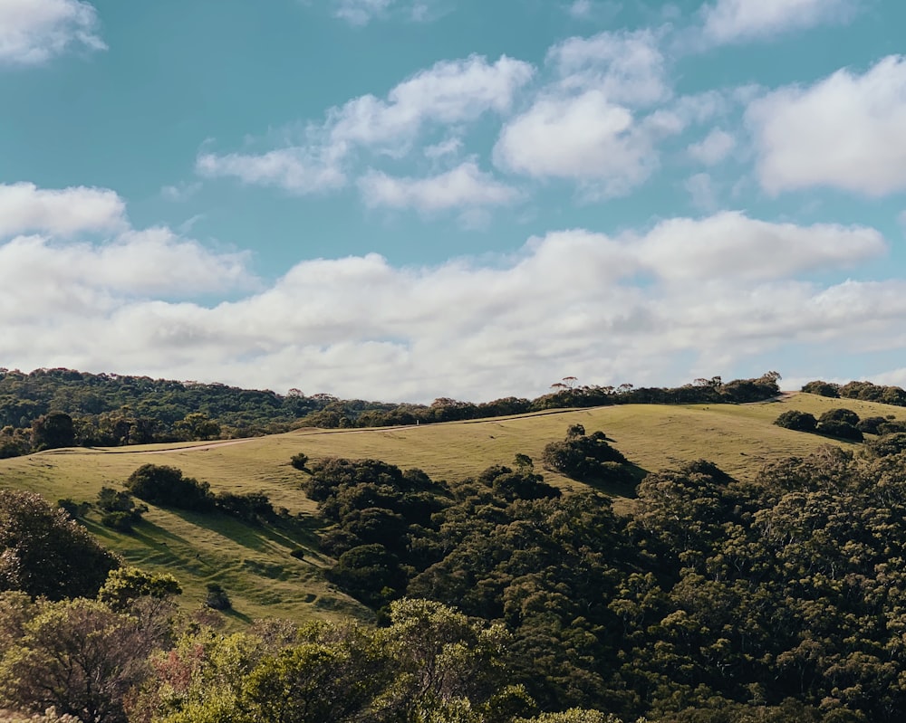 landscape photography of green mountain