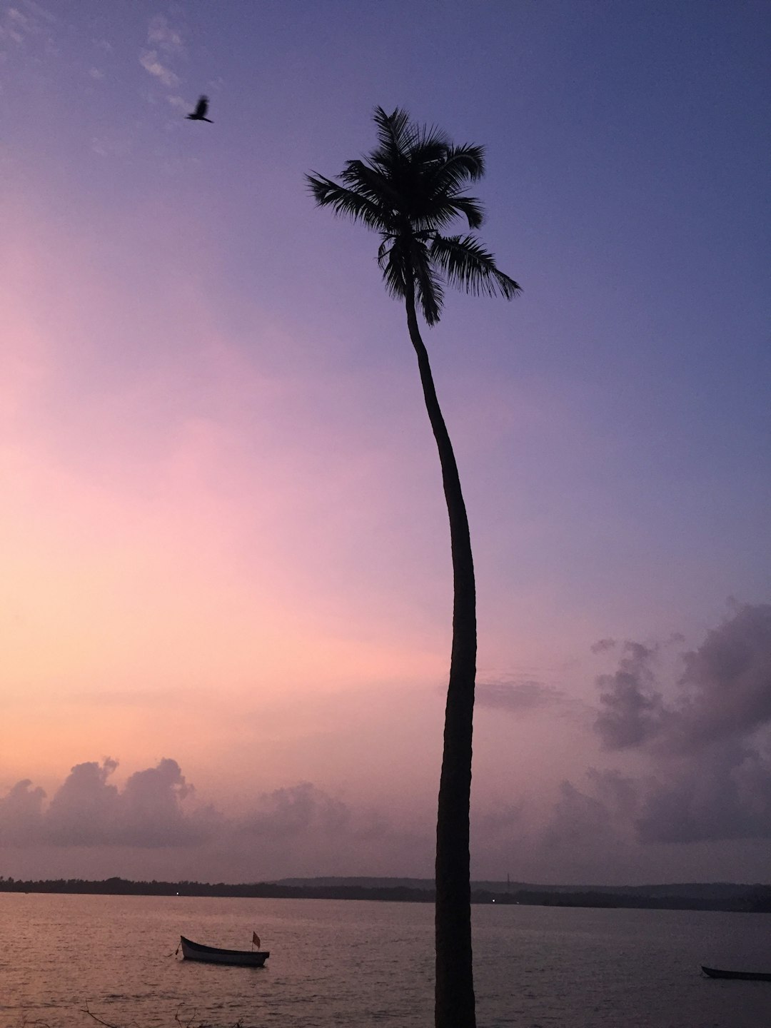 Tropics photo spot badem Palolem