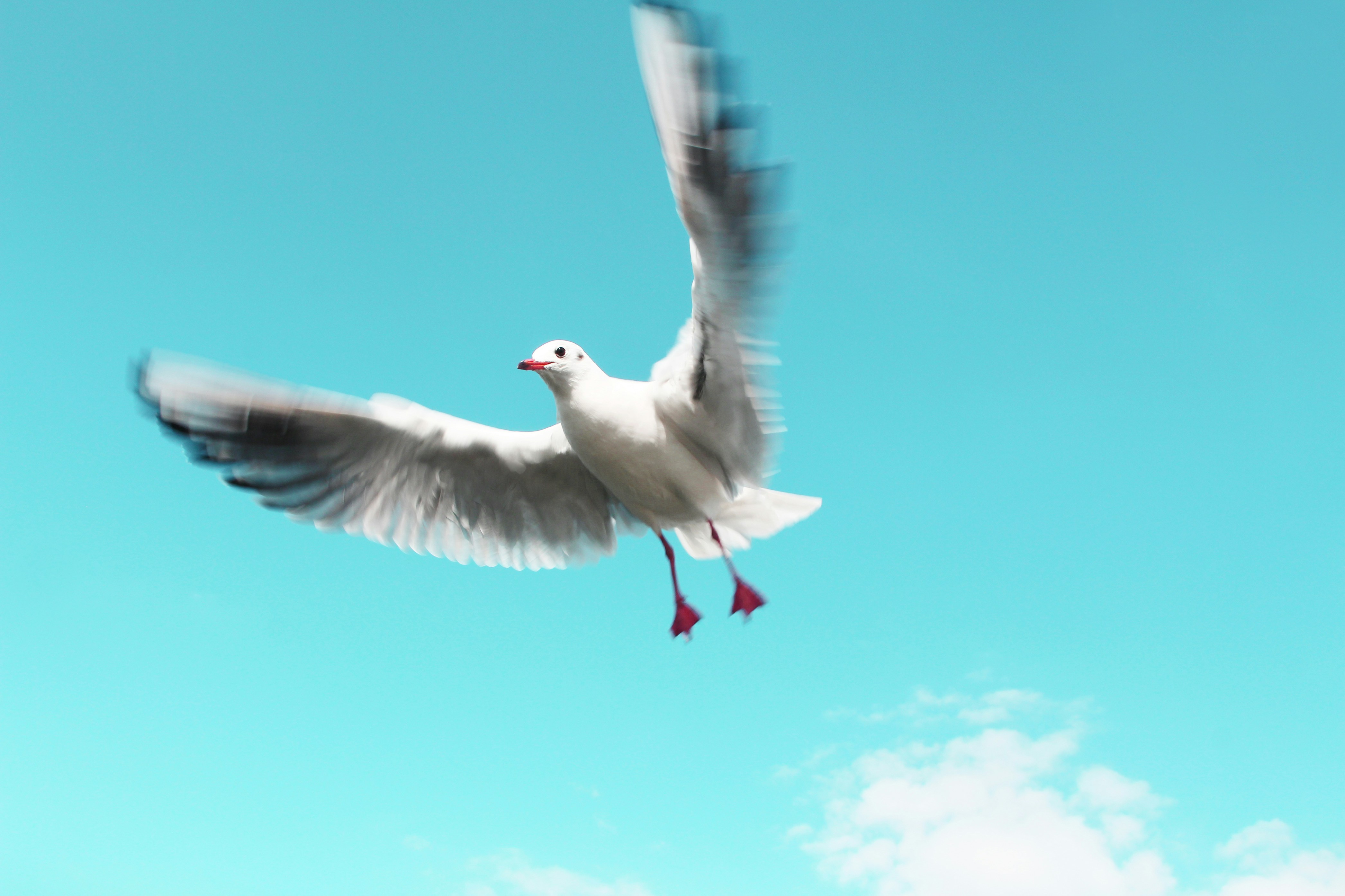 First Steps into Accessibility Auditing