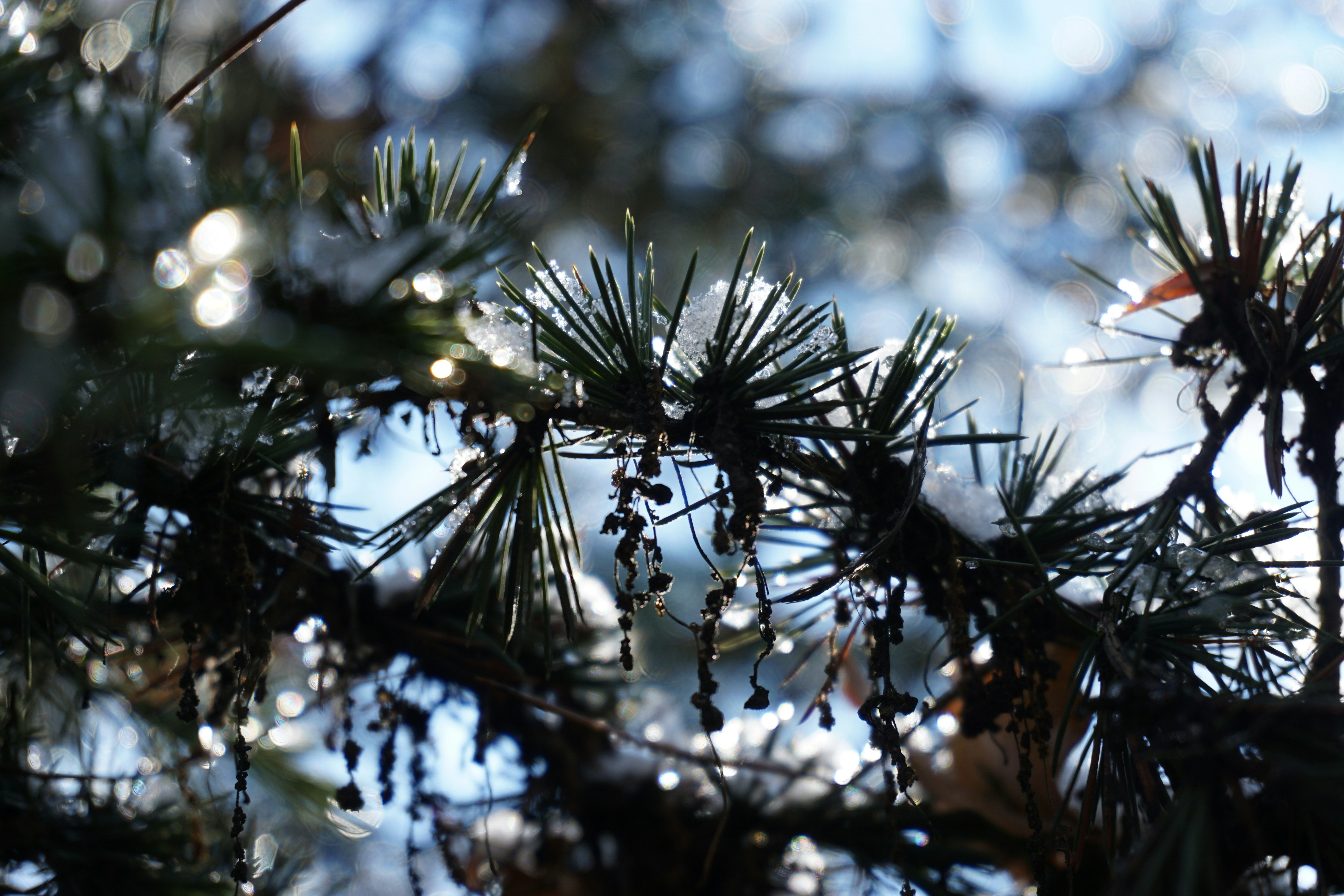 Photo by nihaldemirci