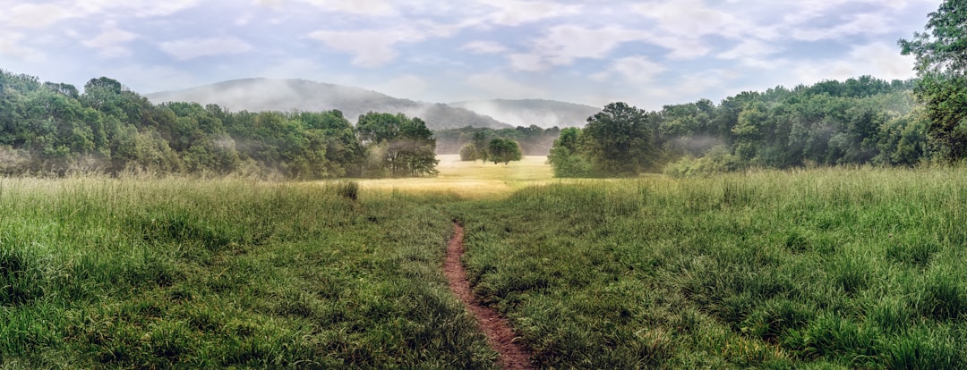 travelers stories about Natural landscape in Hameauweg 31, Austria