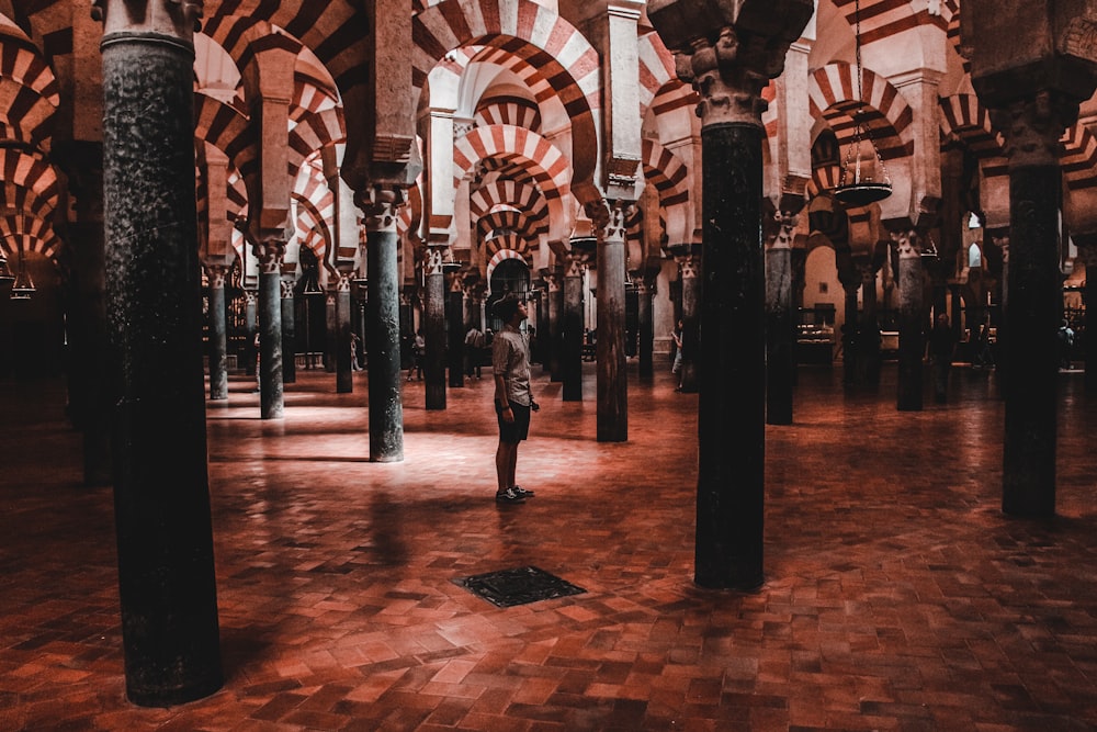 a person standing in a large room with columns