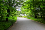 Pathway through lush nature leading to Mila House, showcasing the serene environment
