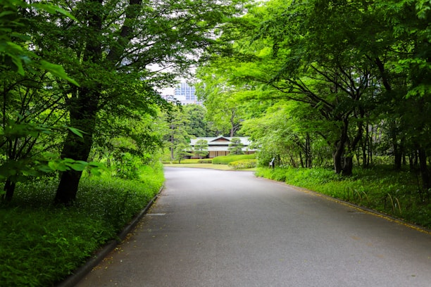 A serene home surrounded by lush greenery, symbolizing harmony with nature.