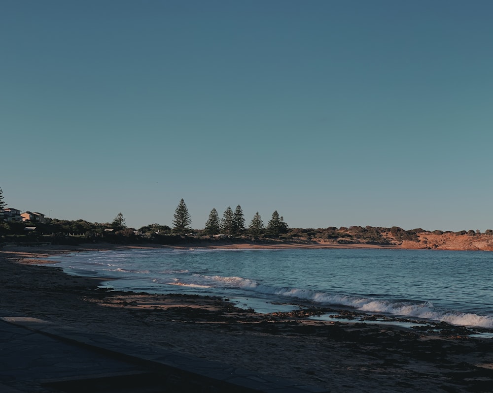 landscape photography of body of water