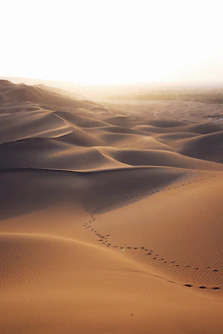 aerial photo of brown desert
