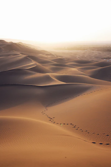 aerial photo of brown desert