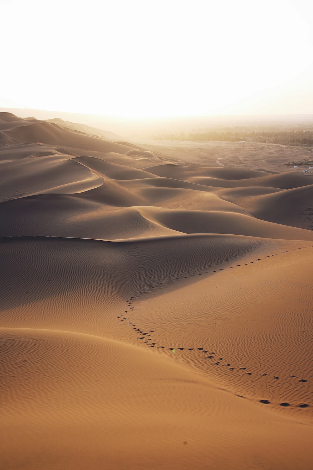 Foto aérea de Brown Desert