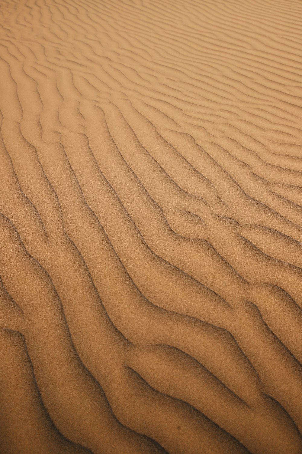 uma área arenosa com linhas na areia