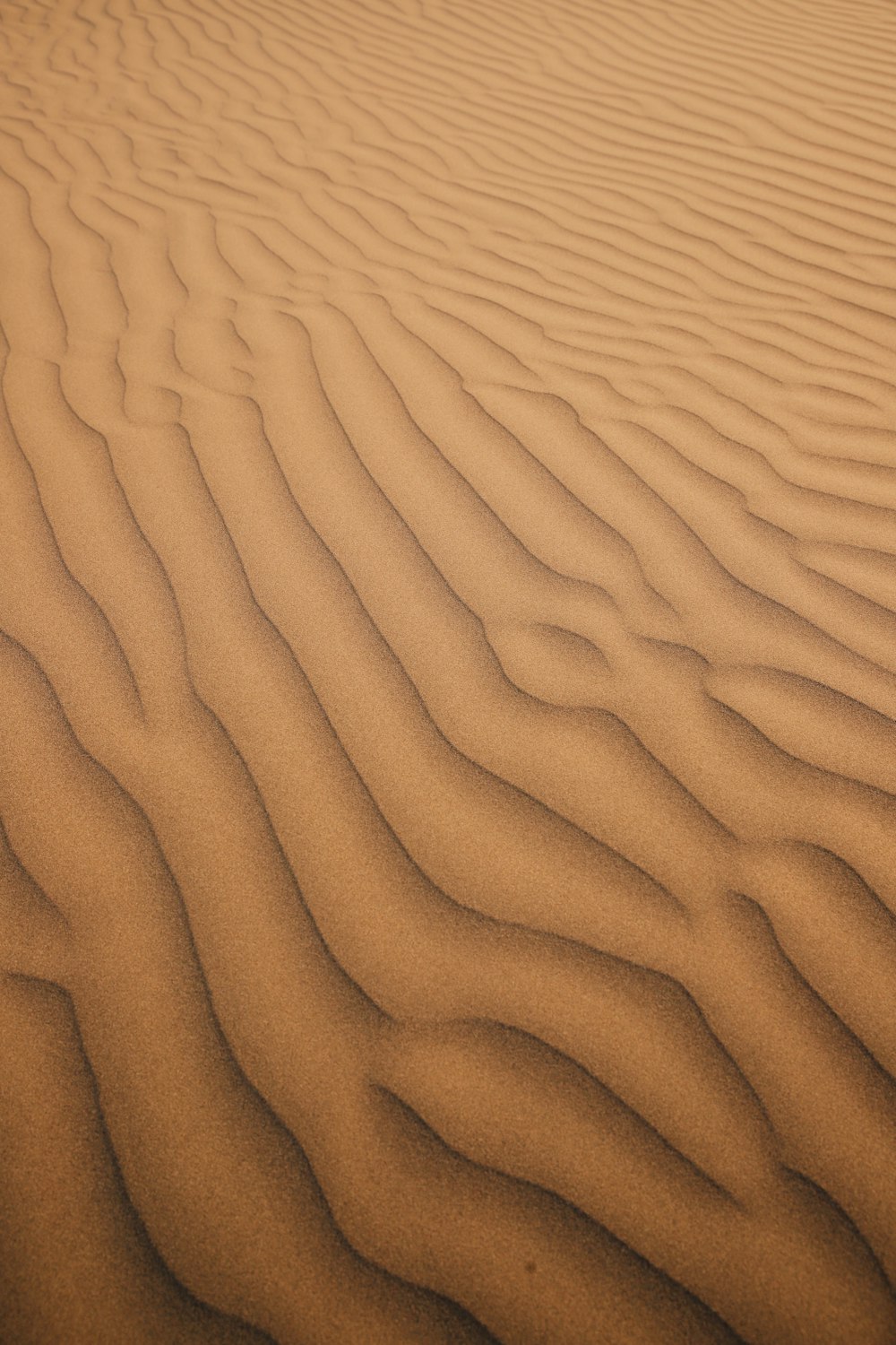 a sandy area with lines in the sand