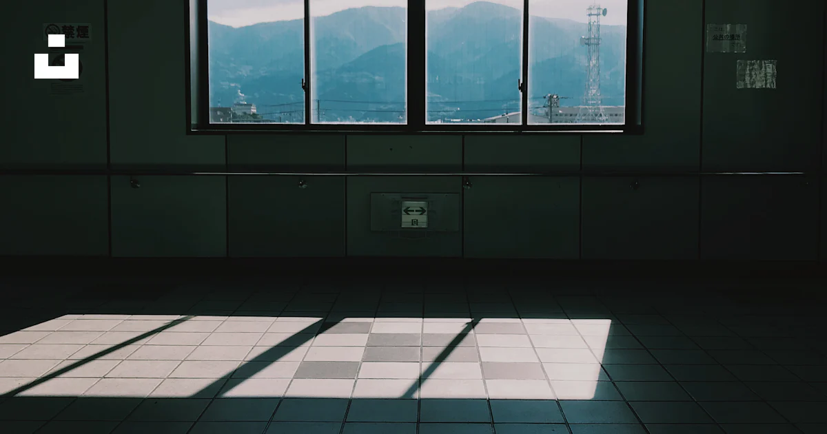 Sunlight through clear glass window photo – Free Window Image on Unsplash