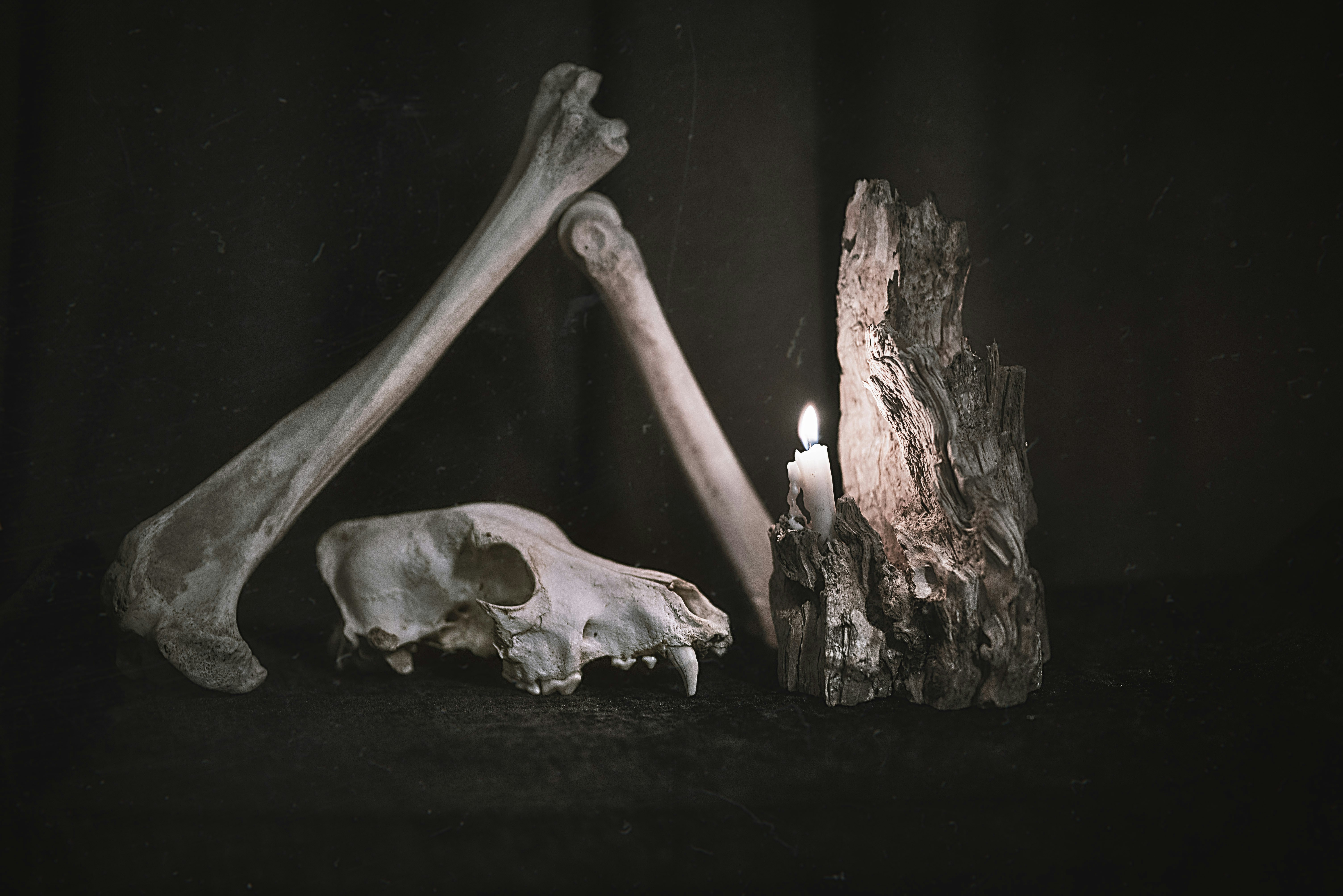 Bones Quotes: Dark, Aesthetic Lines to Inspire Your Soul