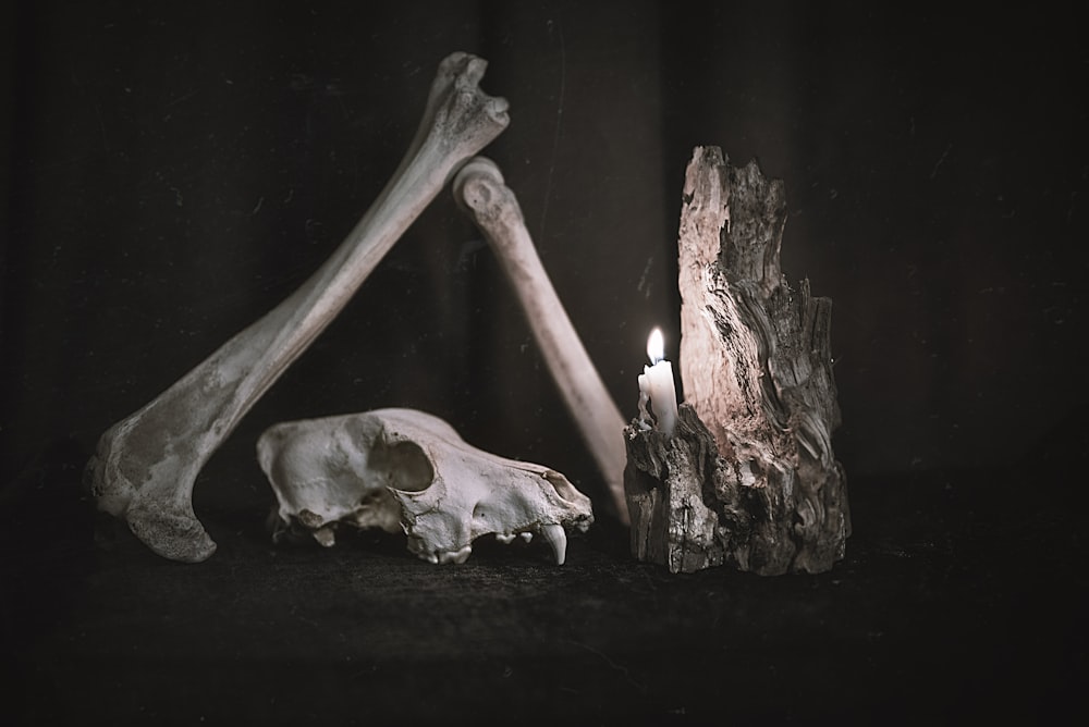 a candle that is next to a skull