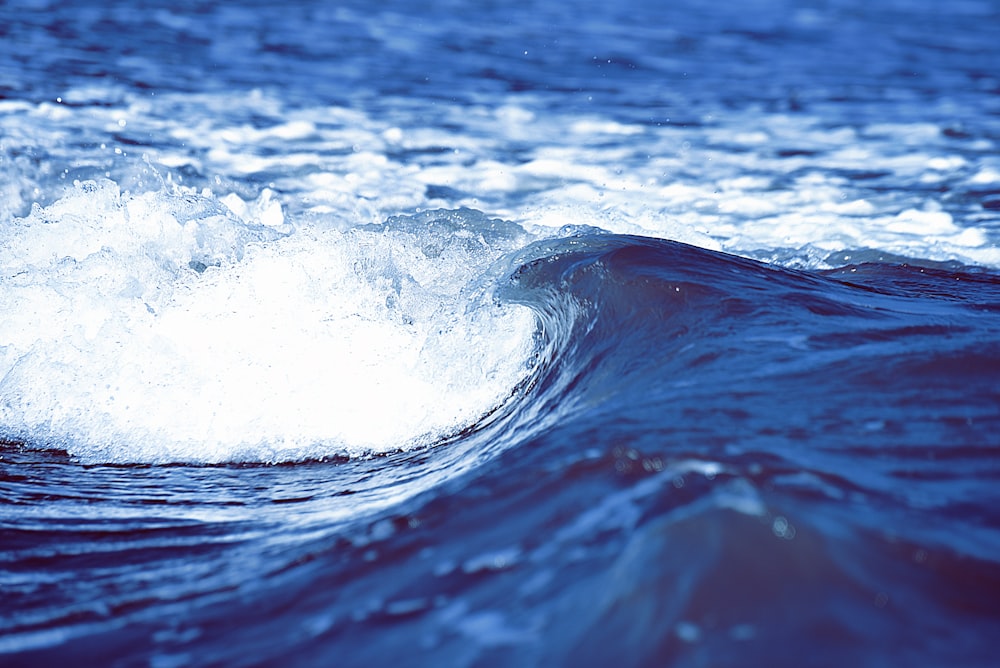 selective focus photography of sea wave