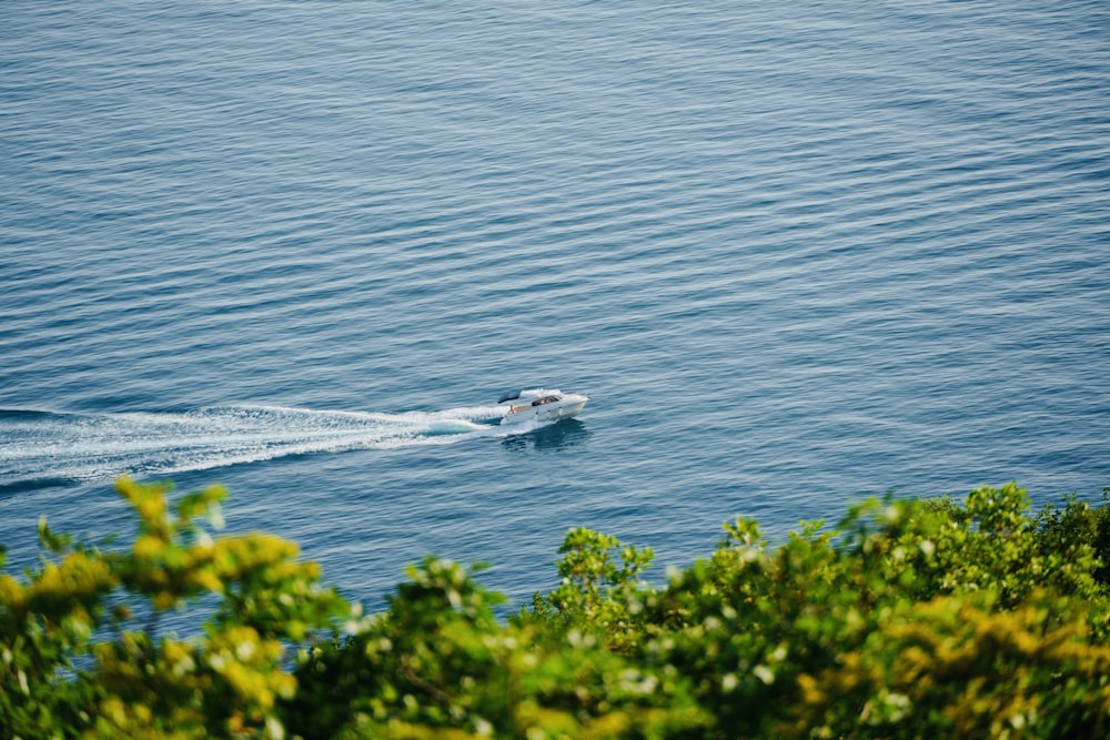 weißes Boot auf dem Weg aufs Meer