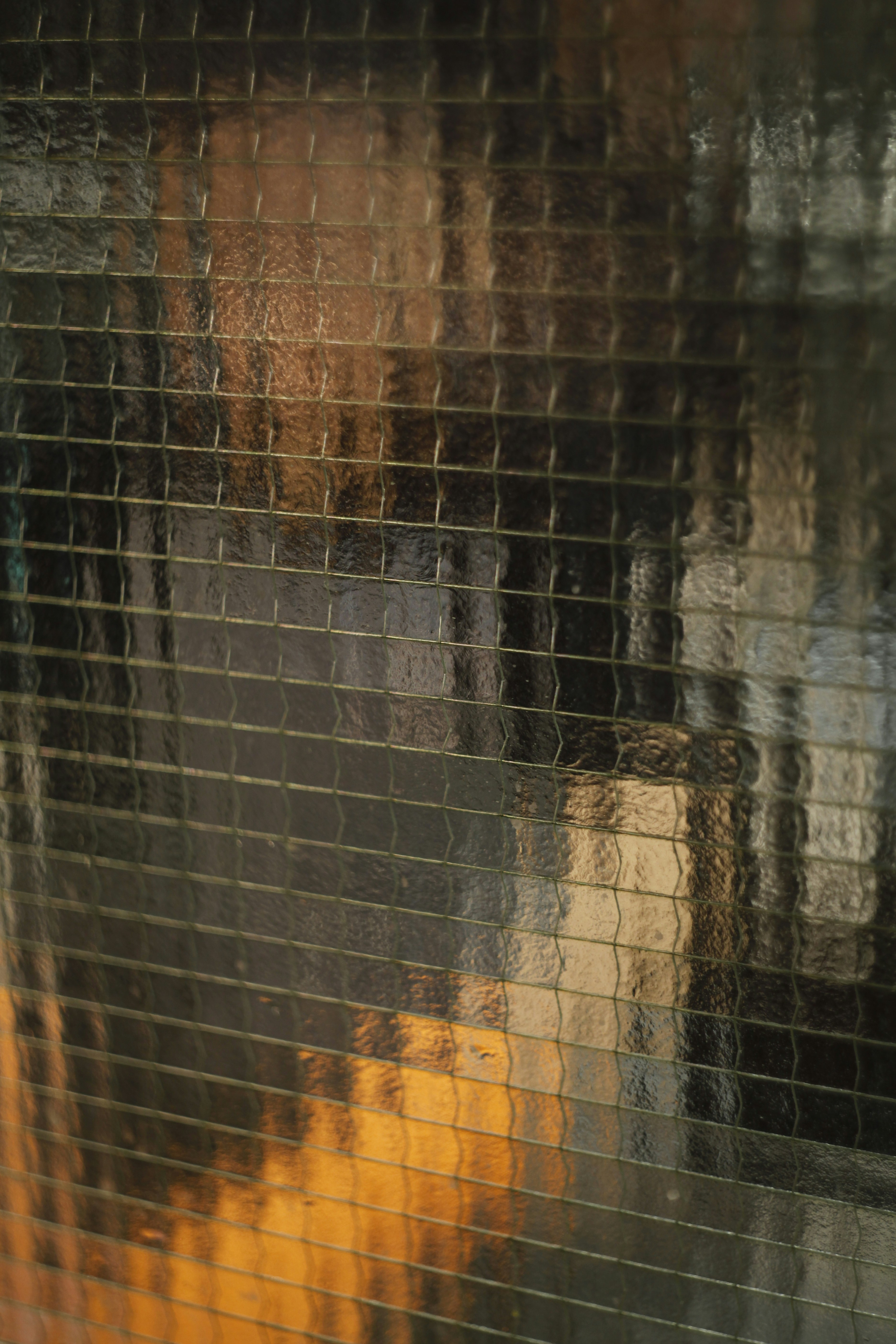 a reflection of a person in a window