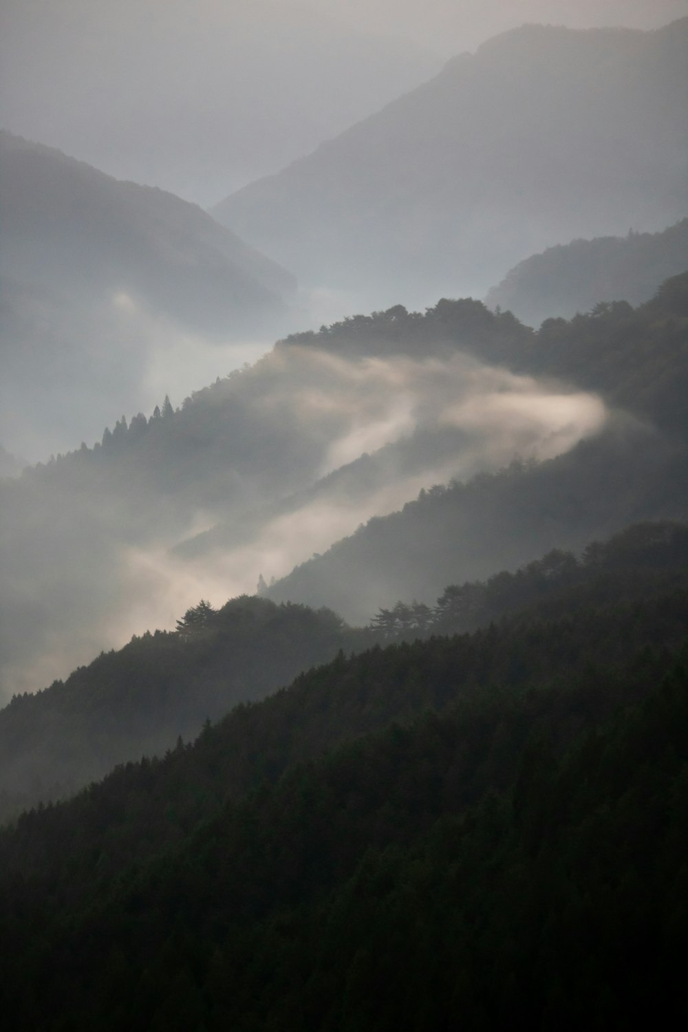 landscape photography of green mountain