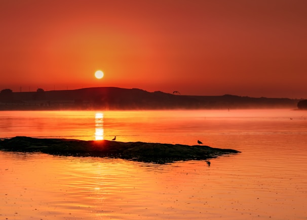 A serene sunrise over the calm marine waters surrounding Isla Isabel, with silhouettes of seabirds flying.