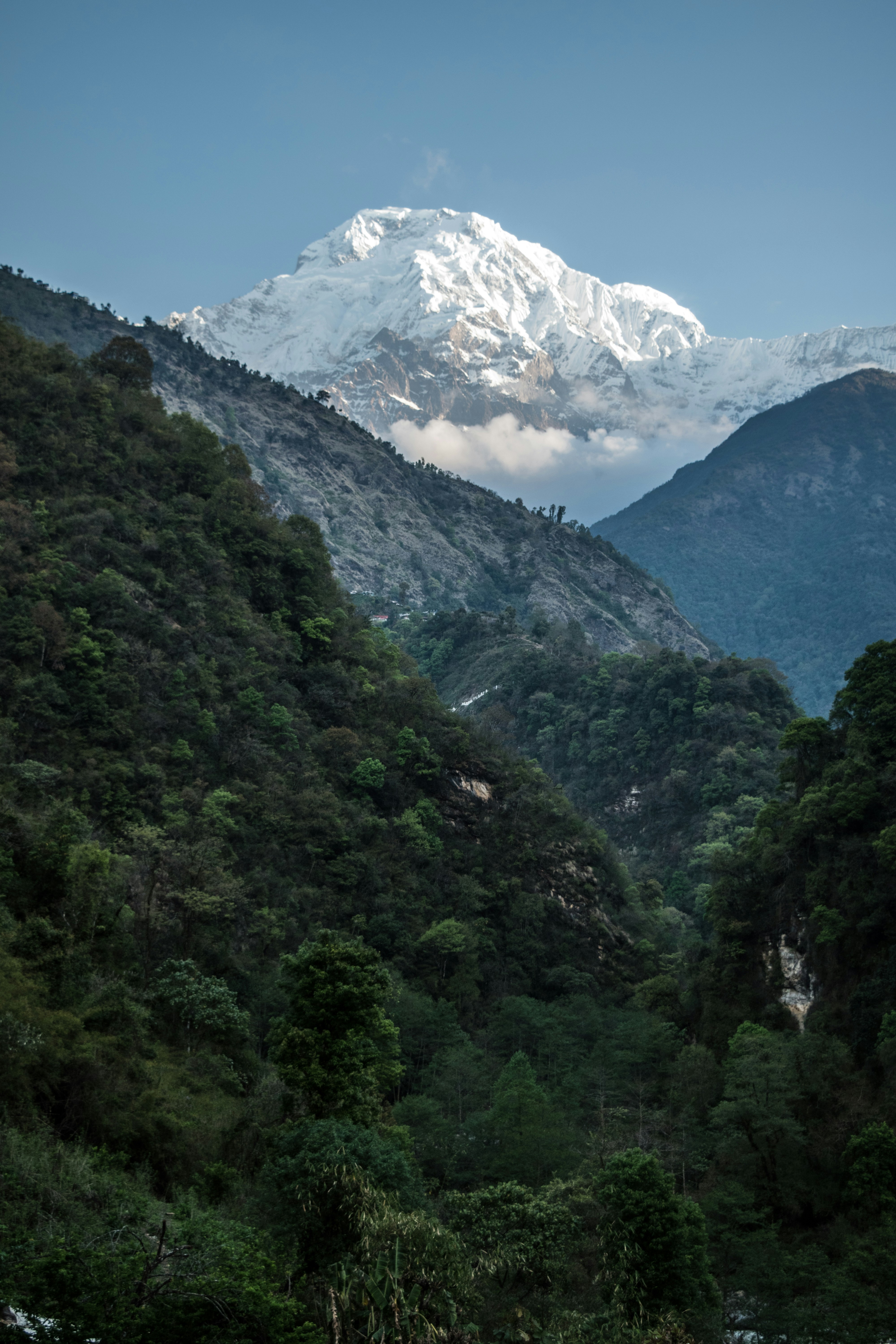 tracking and optimization