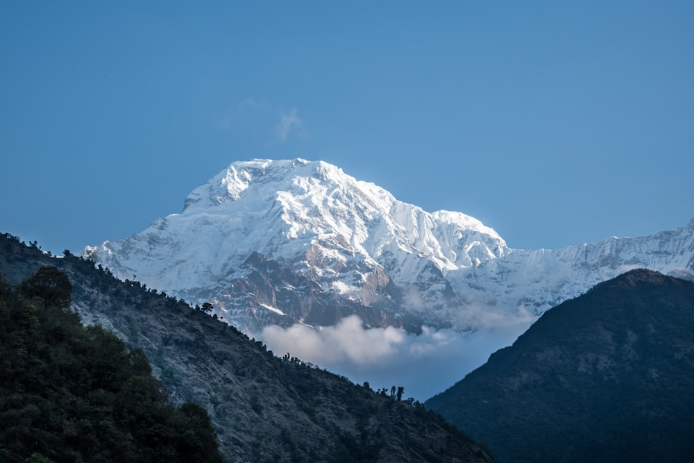 snow-covered mountain