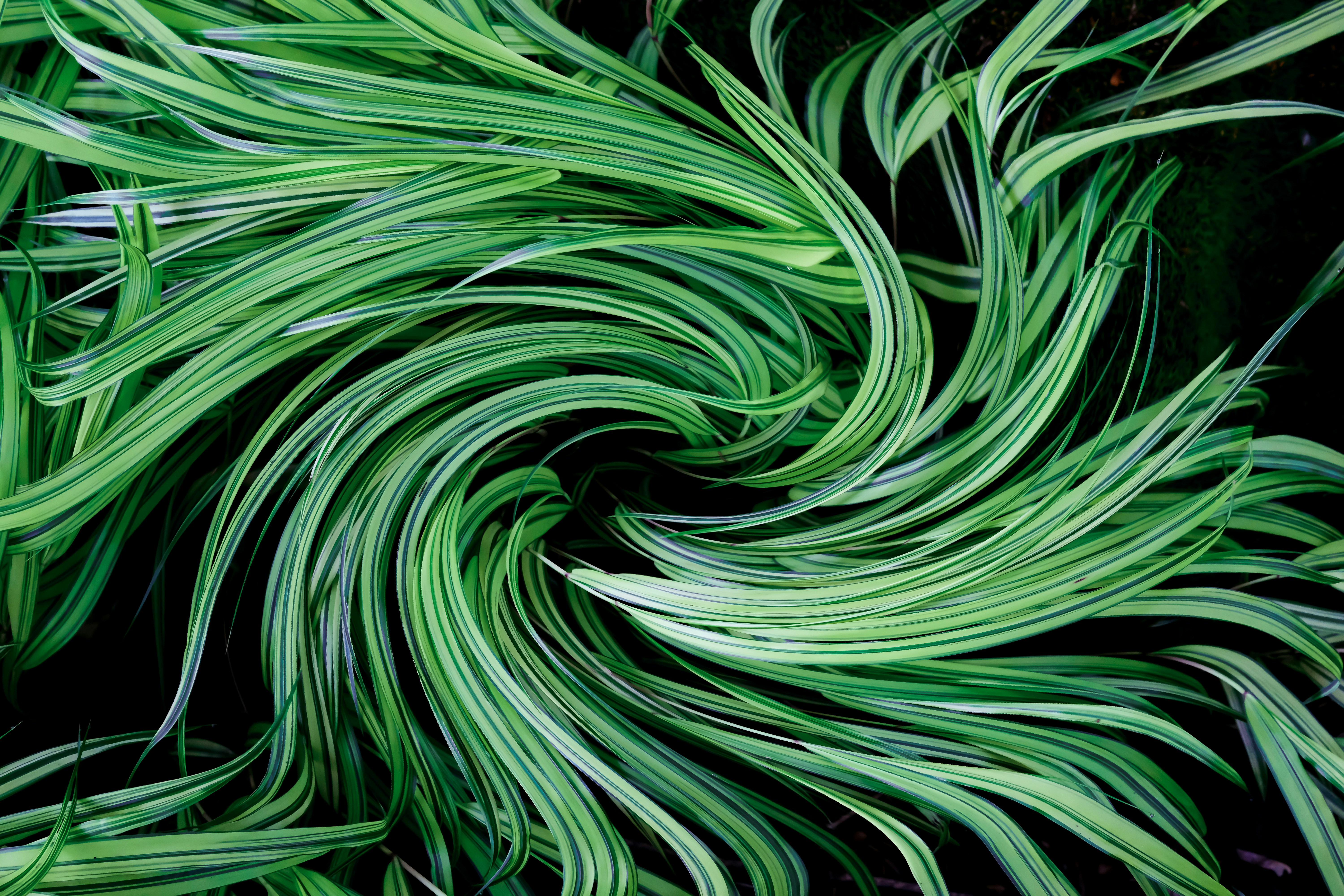 Art Graphic Consulting : Votre Partenaire en Publicité à Rue des Epancheurs 17, Auvernier, Suisse