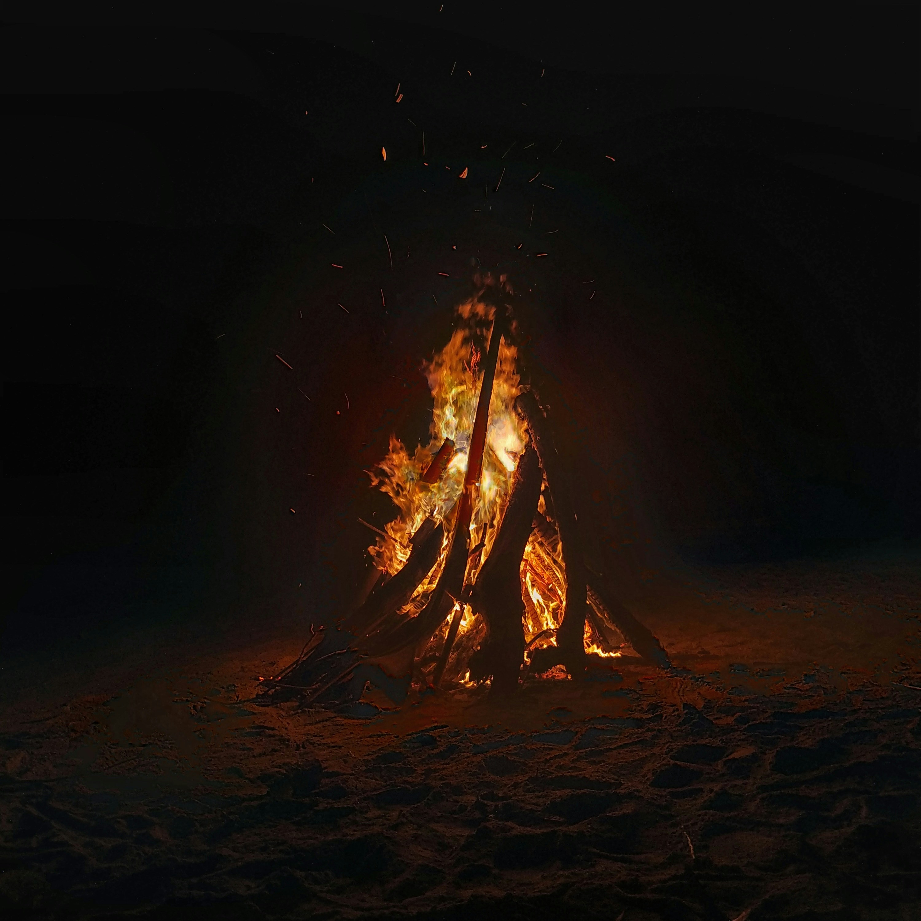 아바타 3 출시일 일정 및 부제 '불과 재' 출연진과 새로운 부족 정보 총정리 이미지1