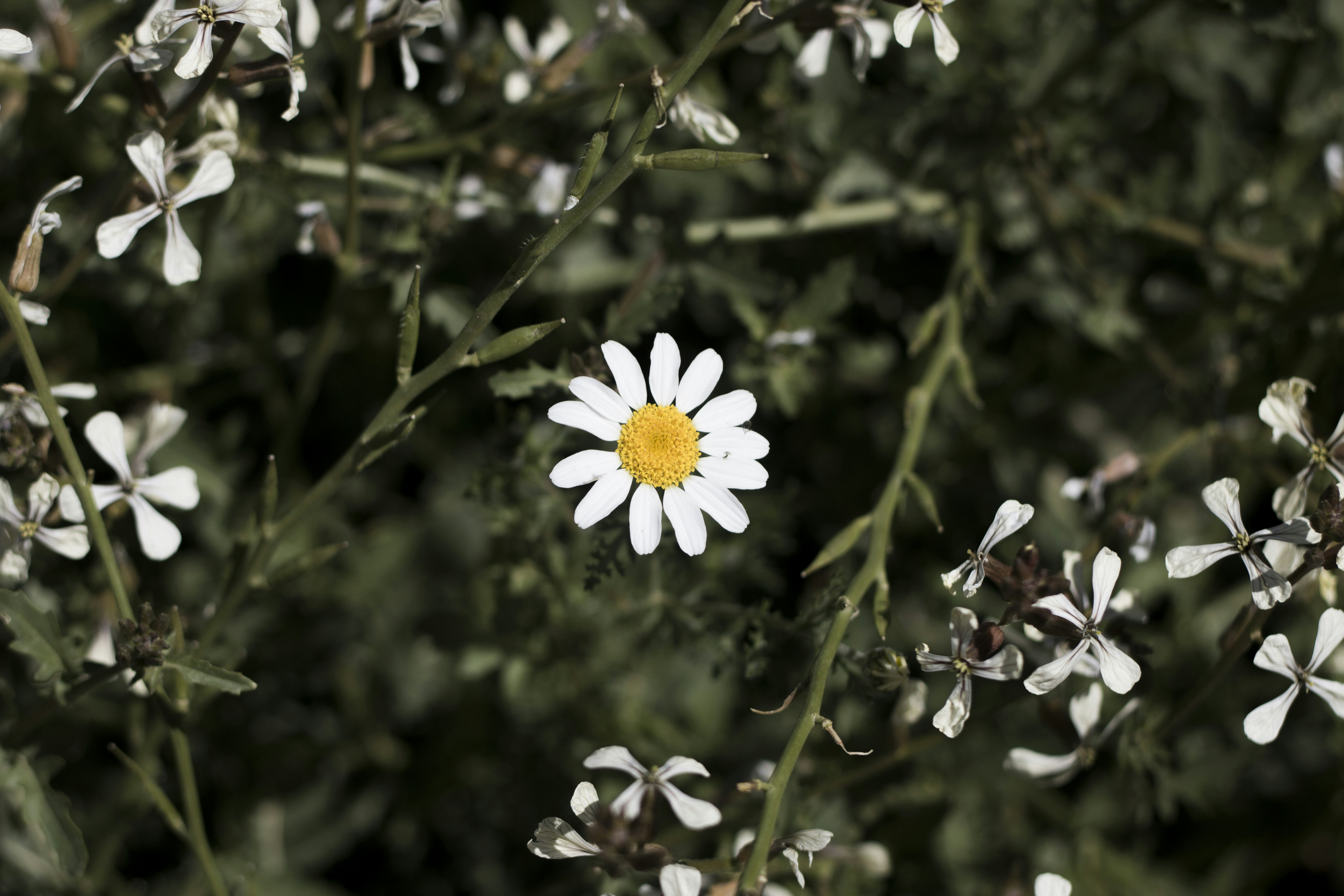 Photo by mamaeslateacher