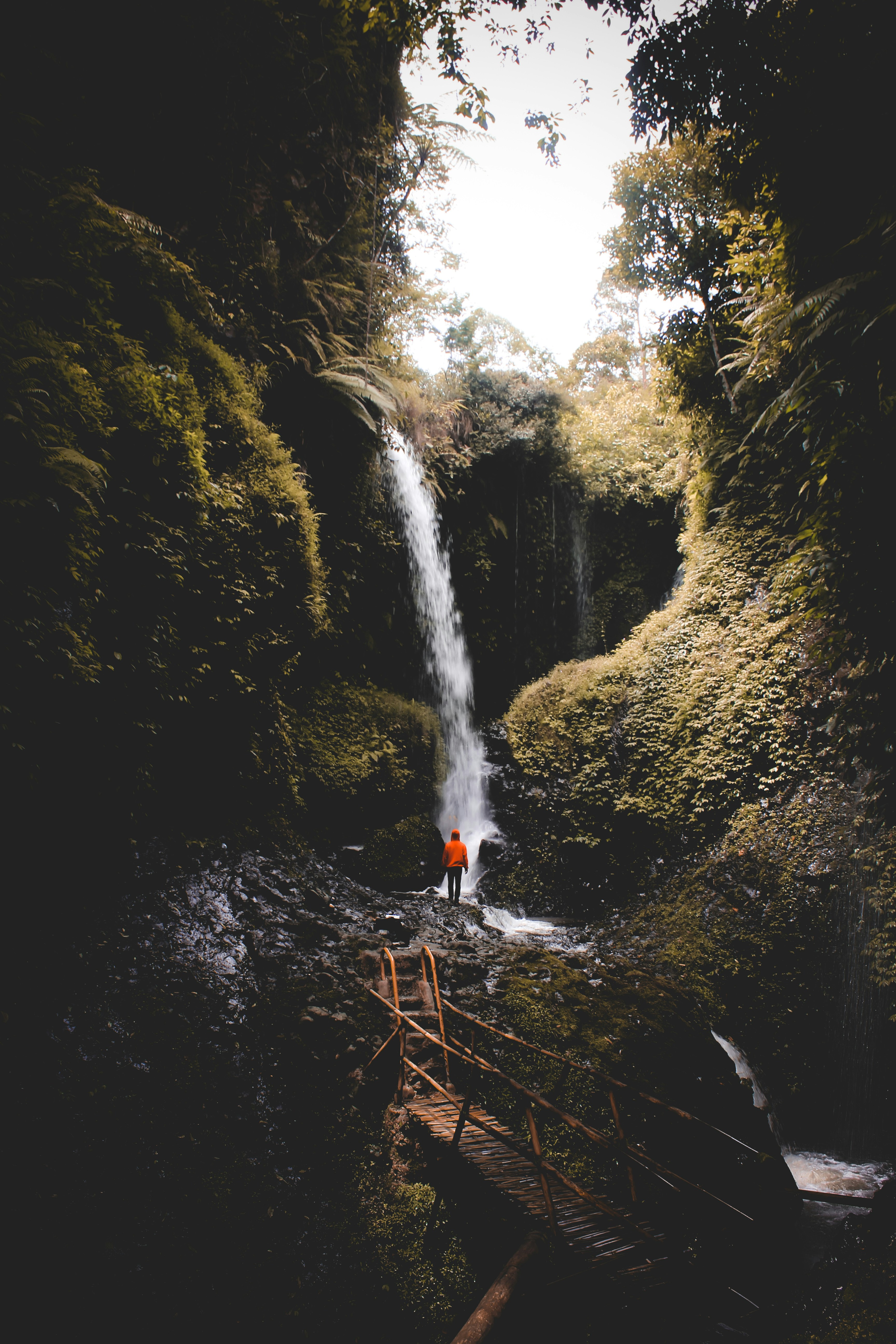 Photo by numpanglewat