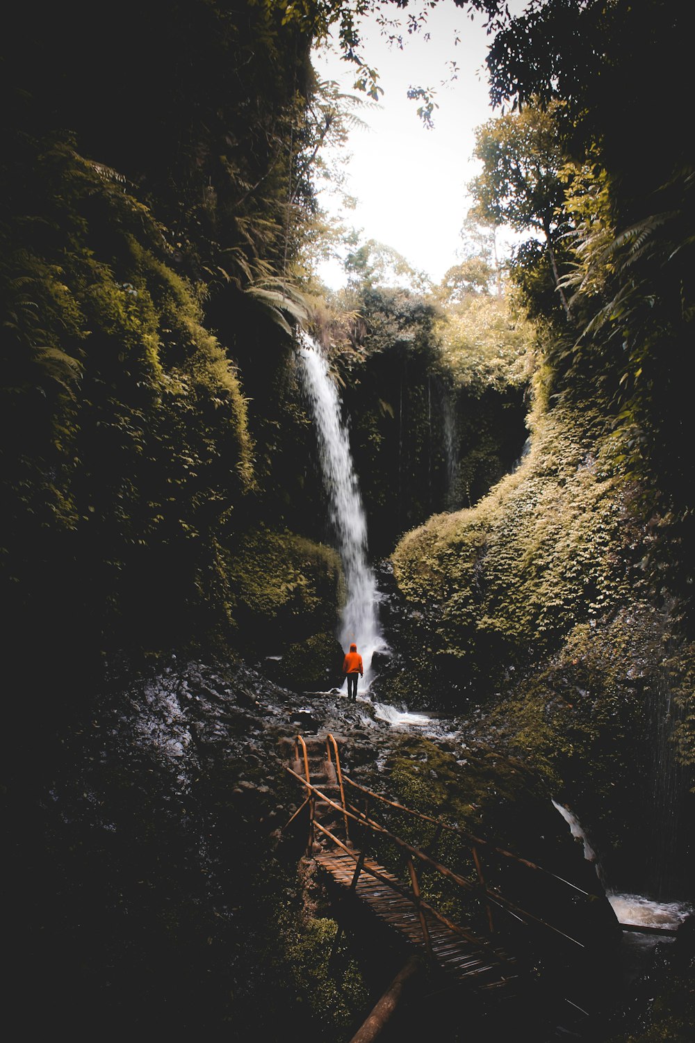 person standing near waterfalls