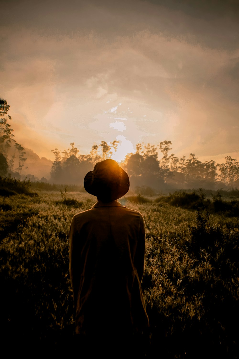 man facing grass field during golden hour