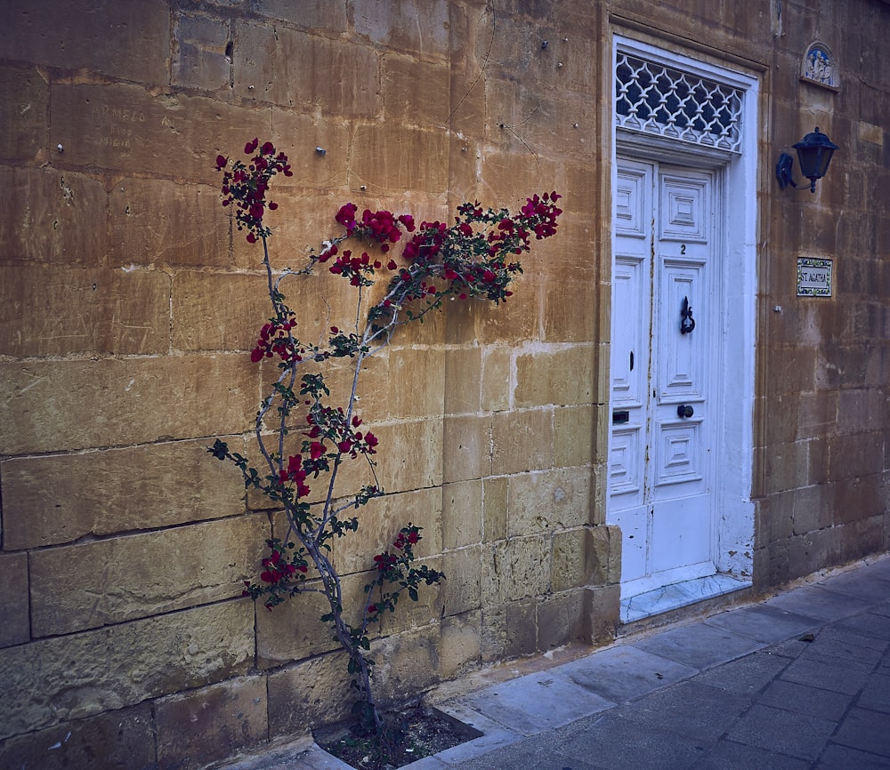 white wooden door