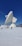 A large satellite dish is positioned on a snow-covered terrain under a clear blue sky. Several people are walking nearby, and some buildings and structures are visible in the background.