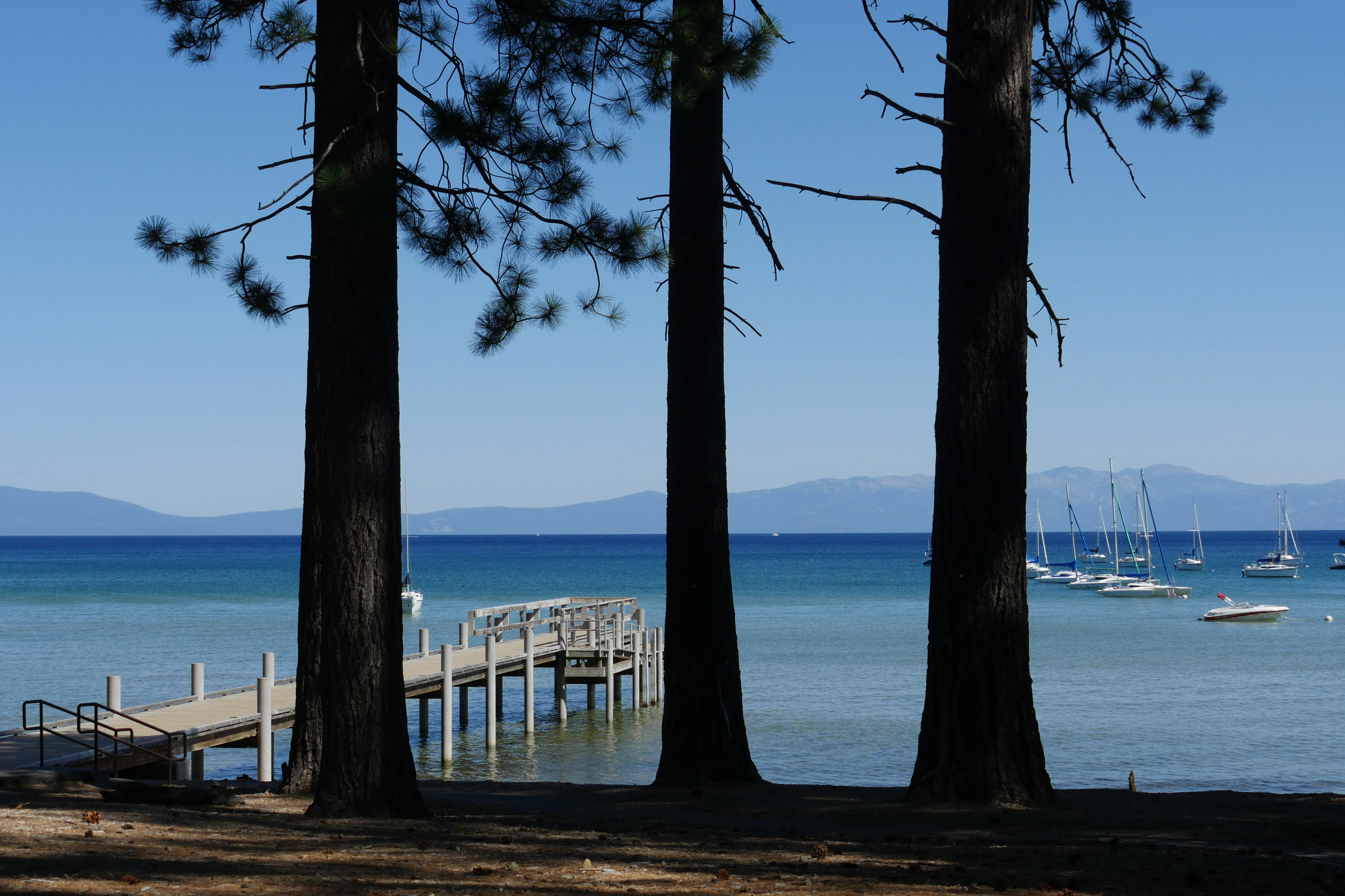 Photo by patrickogilvie