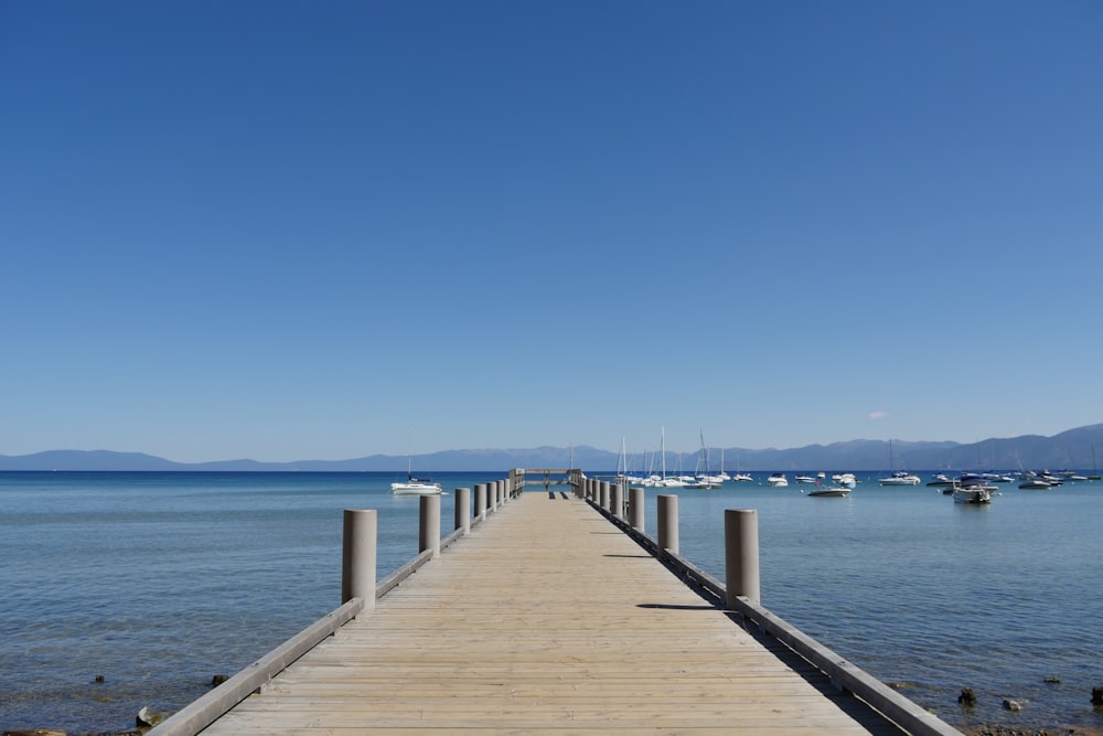 white wooden dock