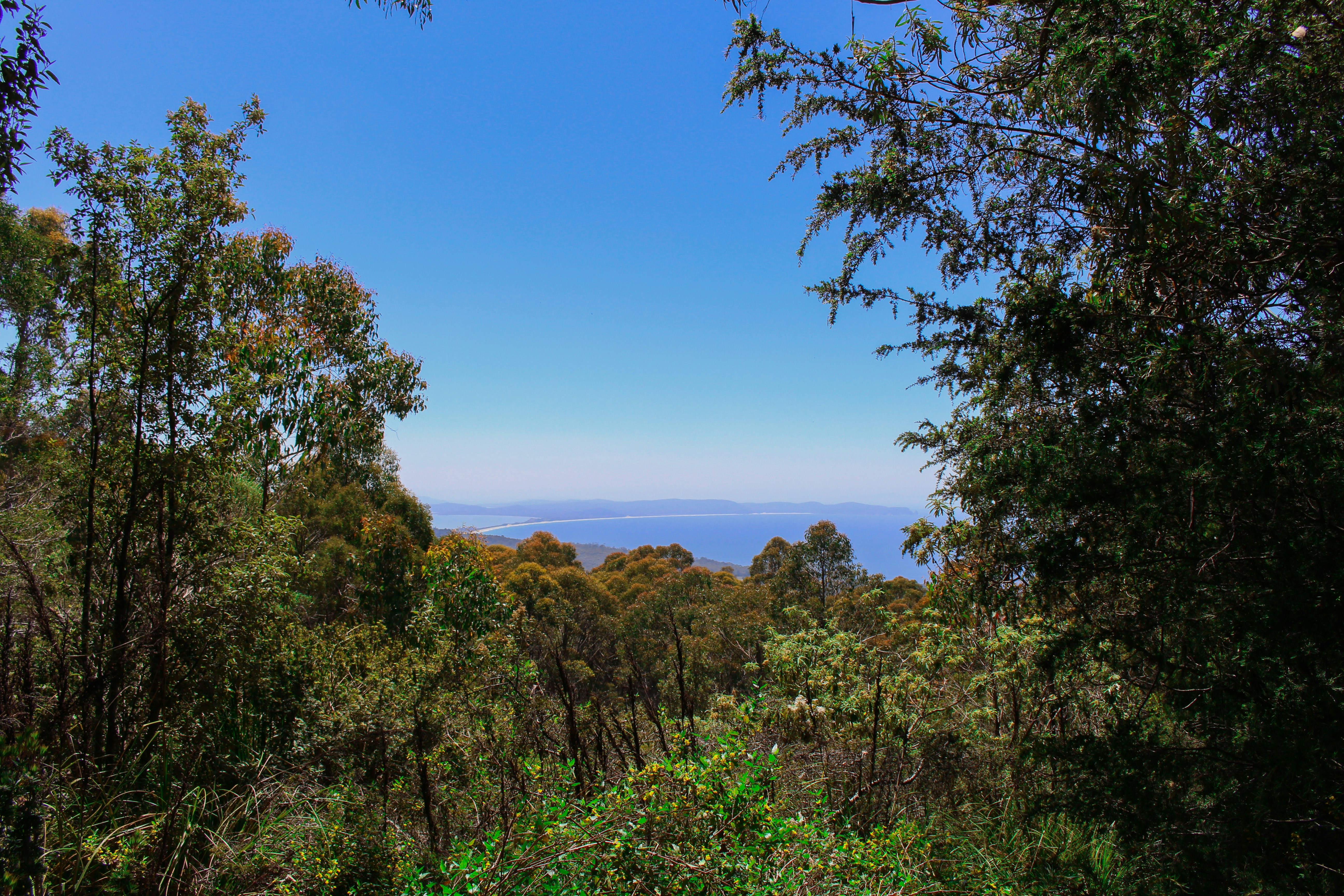 Photo by iridescentstars