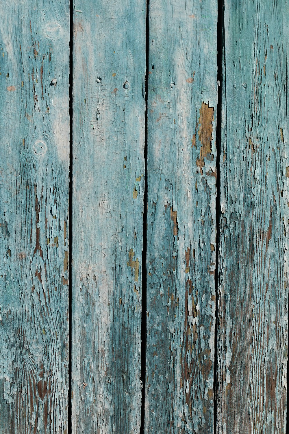valla de madera azul