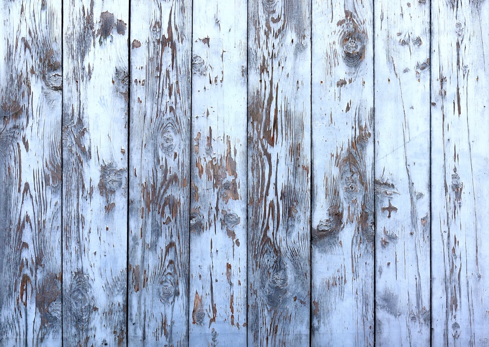 clôture en bois blanc