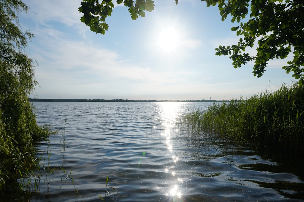 El sol brilla intensamente sobre el agua de un lago