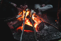 people roasting mallows
