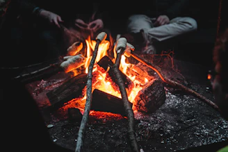 people roasting mallows