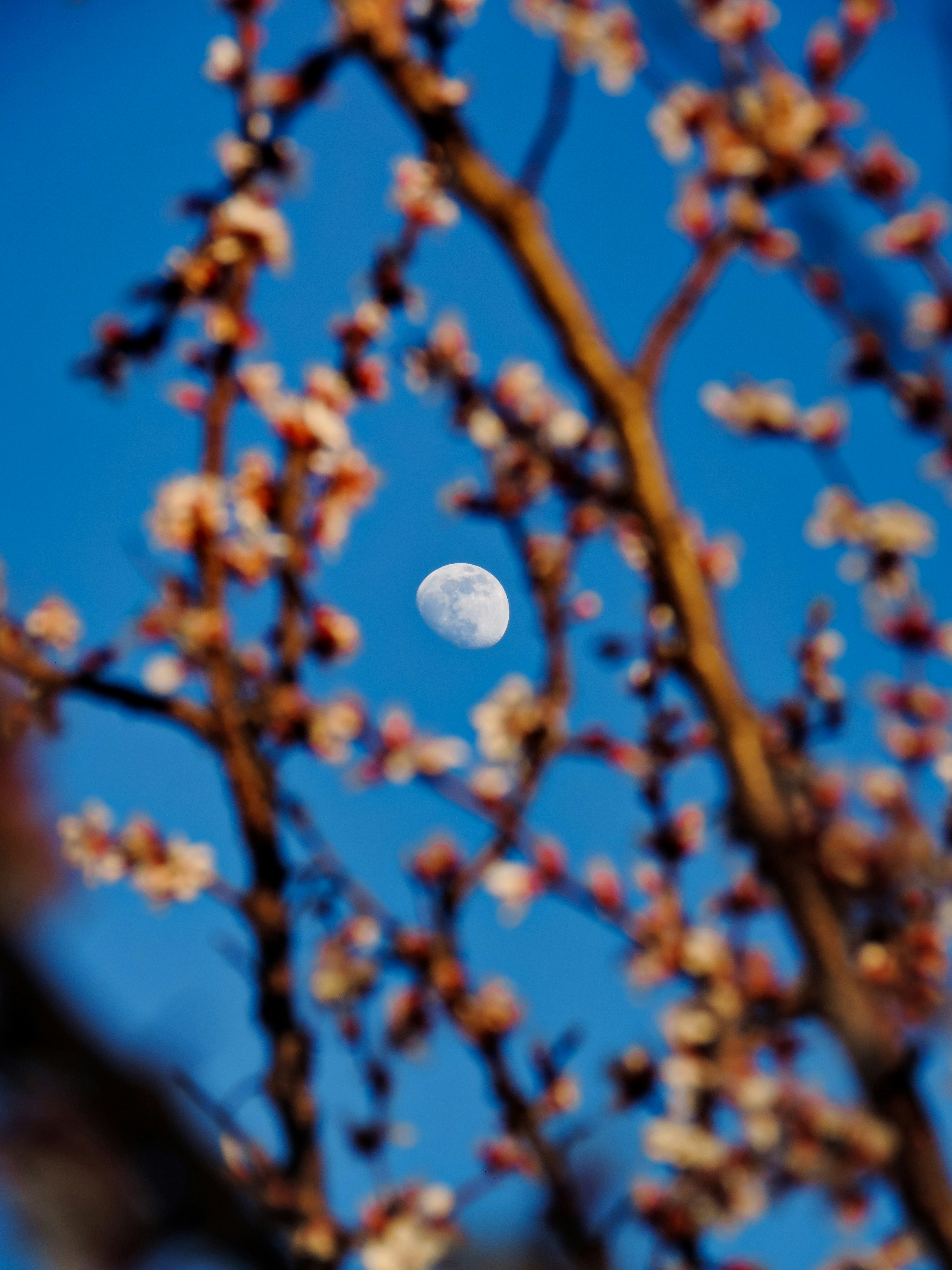 Job Opportunities in Sofia Bulgaria