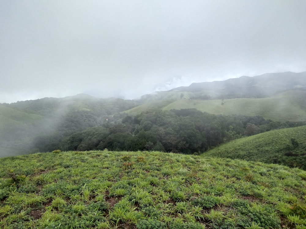 a grassy hill with trees and clouds in the background