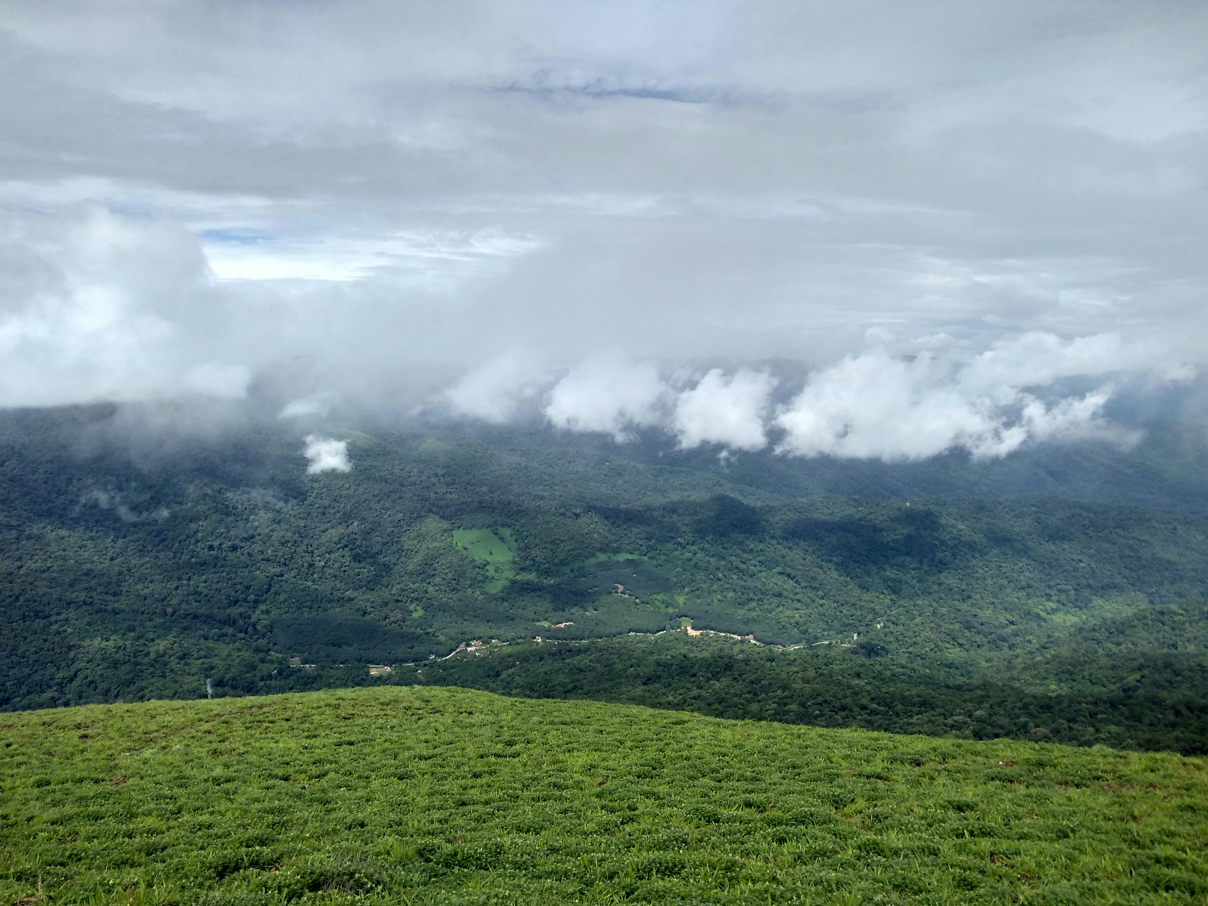 Abbey Falls and lush greenery in Coorg