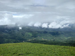 a lush green hillside covered in clouds and grass