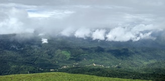 a lush green hillside covered in clouds and grass